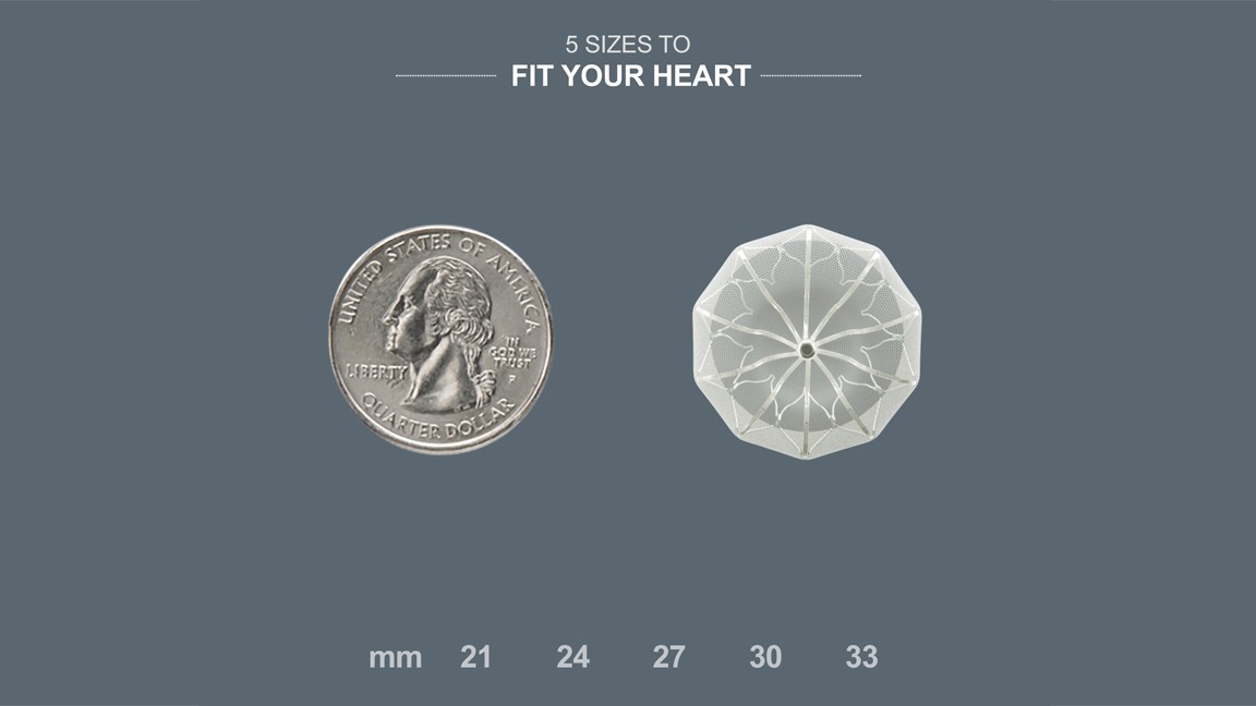 WATCHMAN compared to quarter